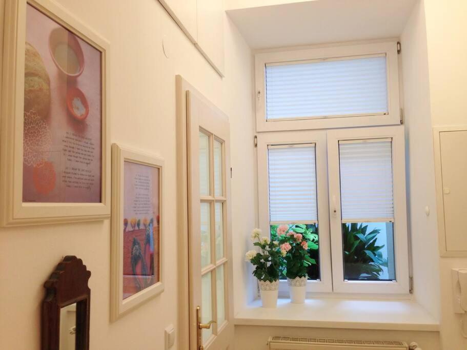 וינה Danube Art Apartments מראה חיצוני תמונה